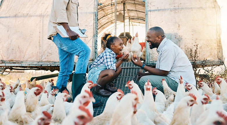 Aviculture.png